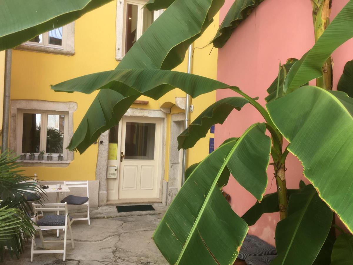 Casa Colloredo Free Parking Ρόβινι Εξωτερικό φωτογραφία